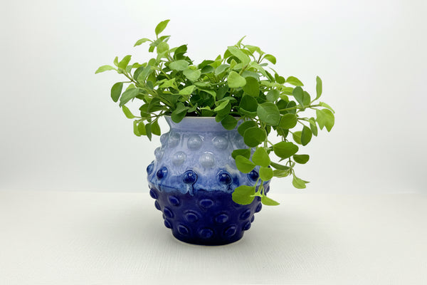 Small Tanzanite Planter