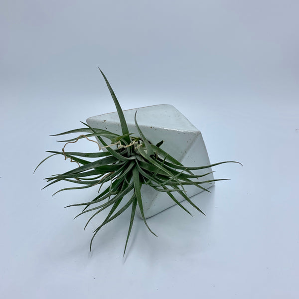White Tile with Hole