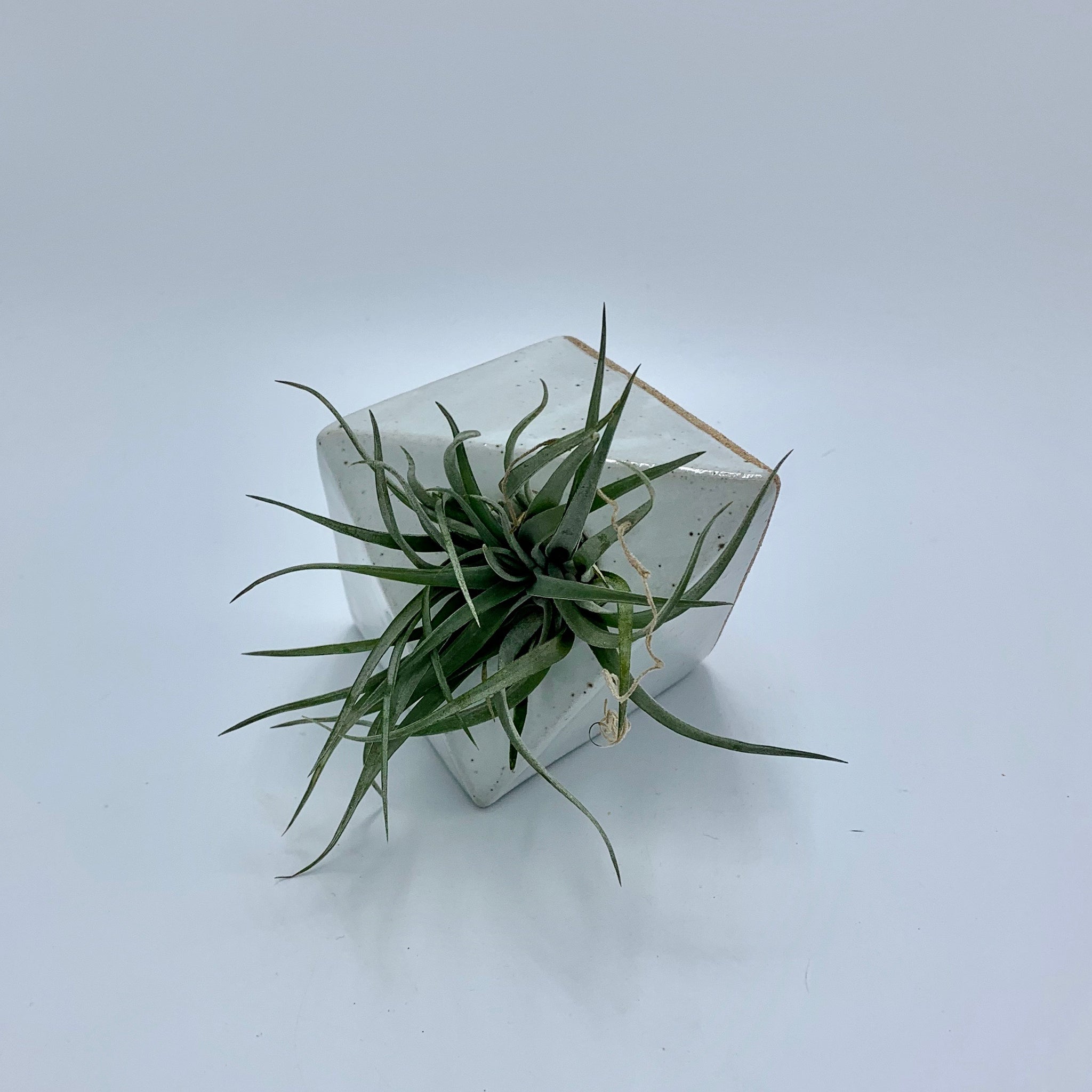 White Tile with Hole