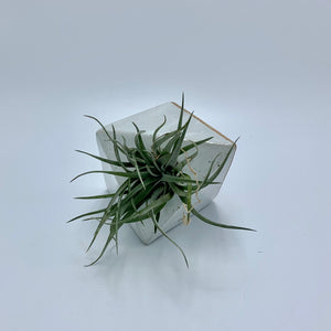 White Tile with Hole