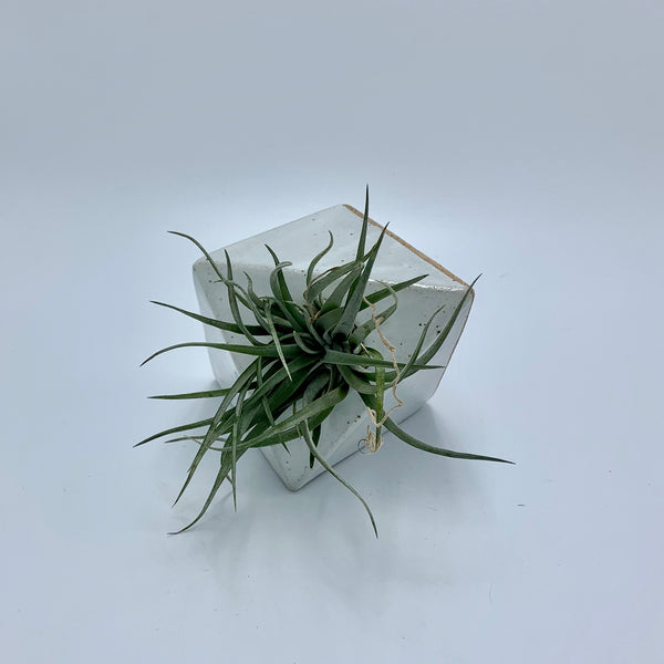 White Tile with Hole